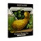 Stupell Industries Vintage Garden Squash Canvas Design by Lil' Rue